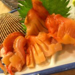 大森「富士川」17時までのサービスタイムがお得！魚料理が美味しい味のある大衆居酒屋