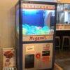 横浜「海鮮とせんべろ 呑りすけ」1000円ガチャで最大7杯！昼飲みもできるアソビルの海鮮居酒屋